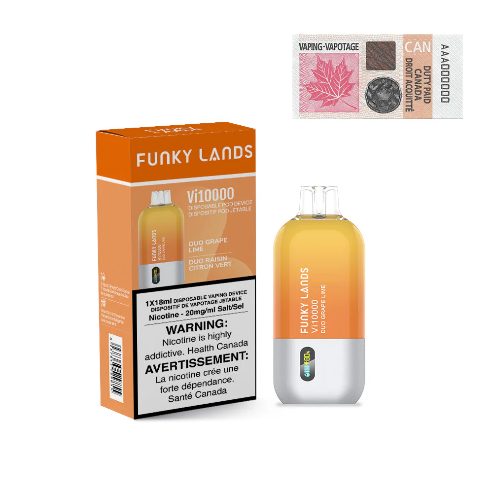 Funky Lands by ElfBar Vi10000 Rechargeable Disposable Vape 18ml - Image 10