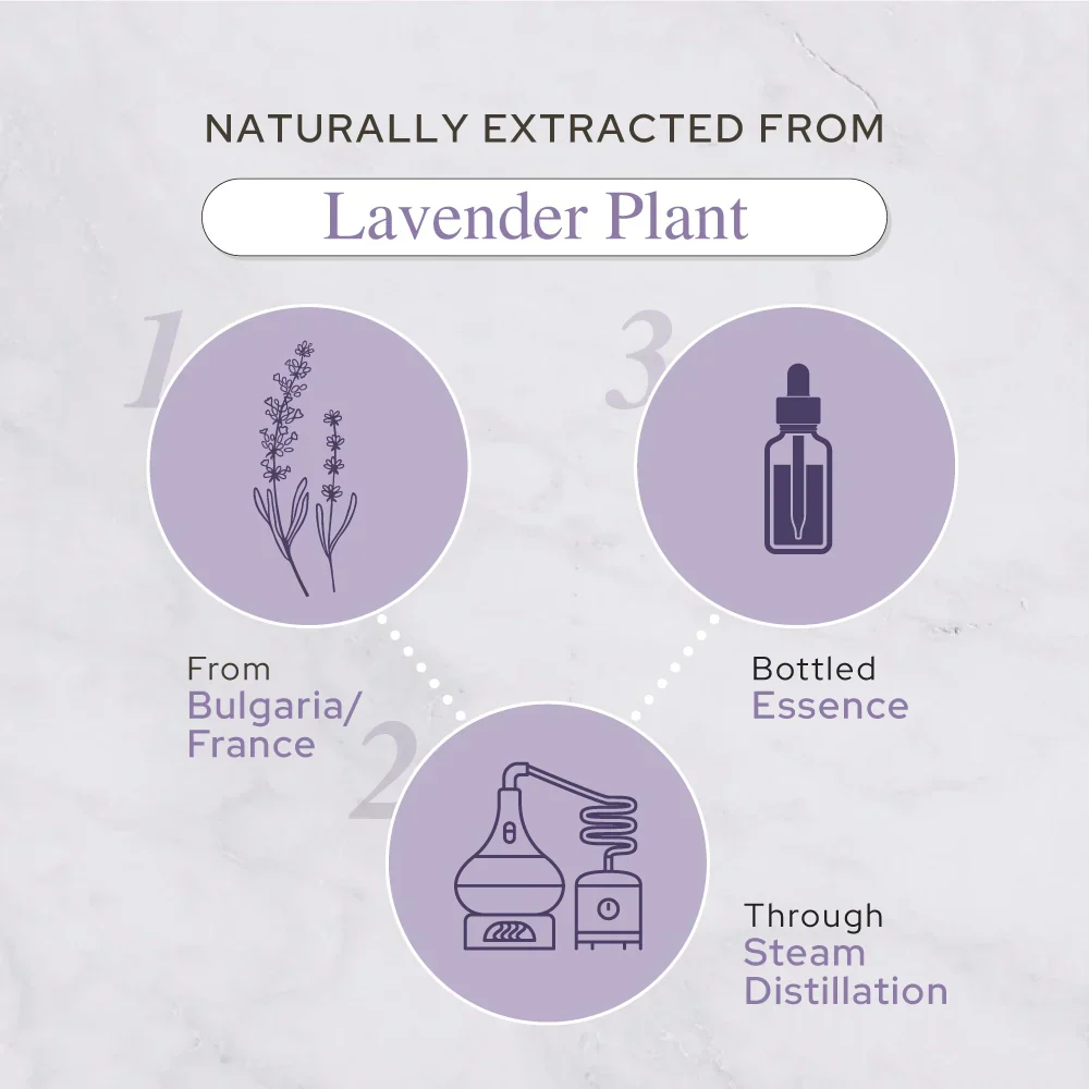 Plant of Life - 4oz Essential Oil - Image 7