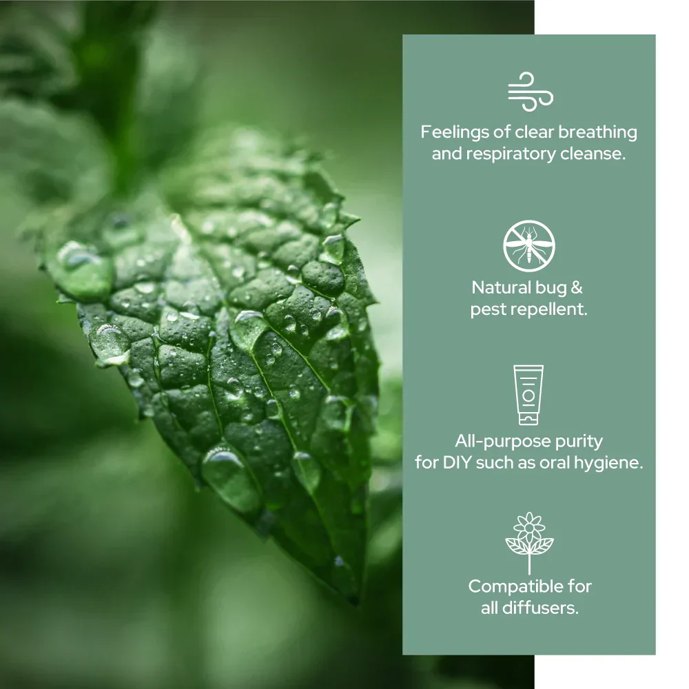 Plant of Life - 4oz Essential Oil - Image 9