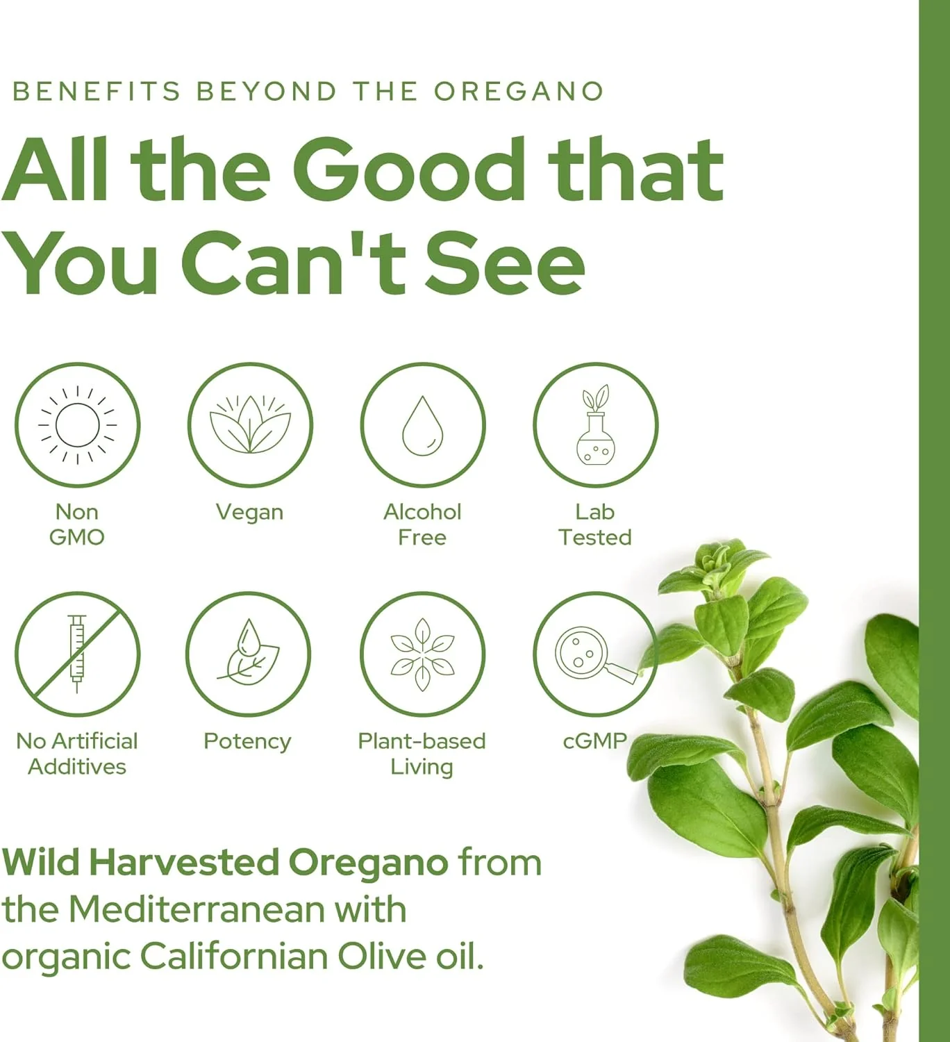 Plant of Life - 1oz Wild Oregano Oil - Image 4
