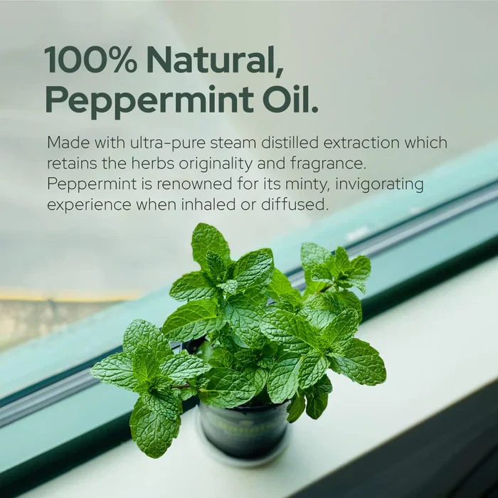 Plant of Life - 1oz Organic Essential Oil - Image 13