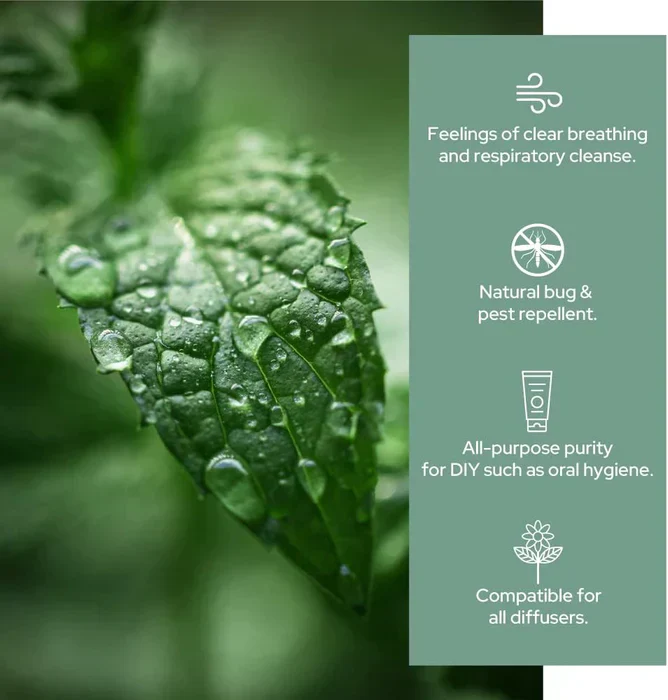 Plant of Life - 1oz Organic Essential Oil - Image 5