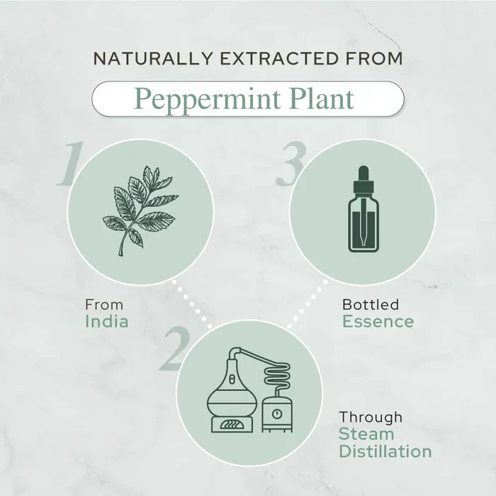 Plant of Life - 1oz Organic Essential Oil - Image 9