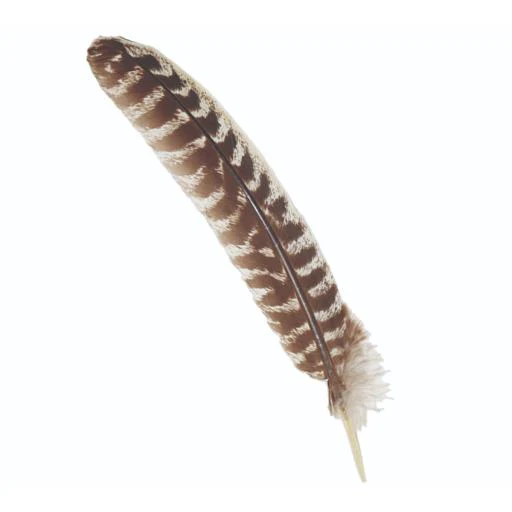 Grade A Smudge Feather Turkey 10"-12"